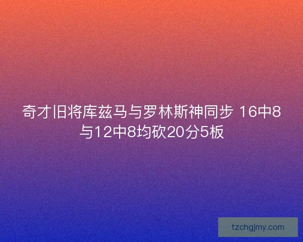 奇才旧将库兹马与罗林斯神同步 16中8与12中8均砍20分5板