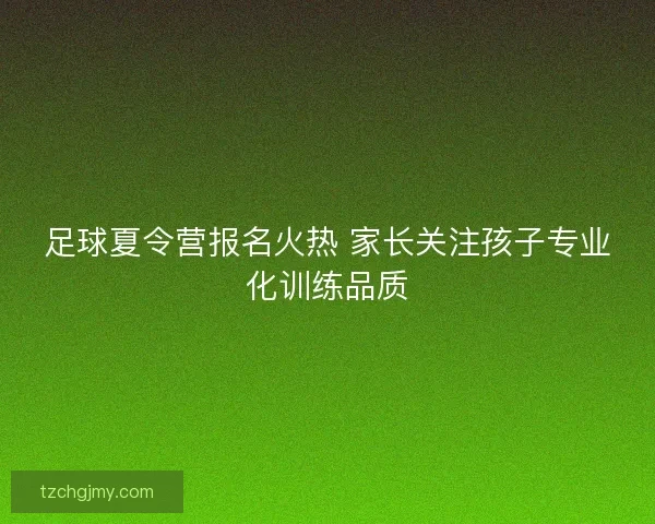 足球夏令营报名火热 家长关注孩子专业化训练品质