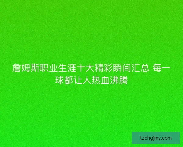 詹姆斯职业生涯十大精彩瞬间汇总 每一球都让人热血沸腾