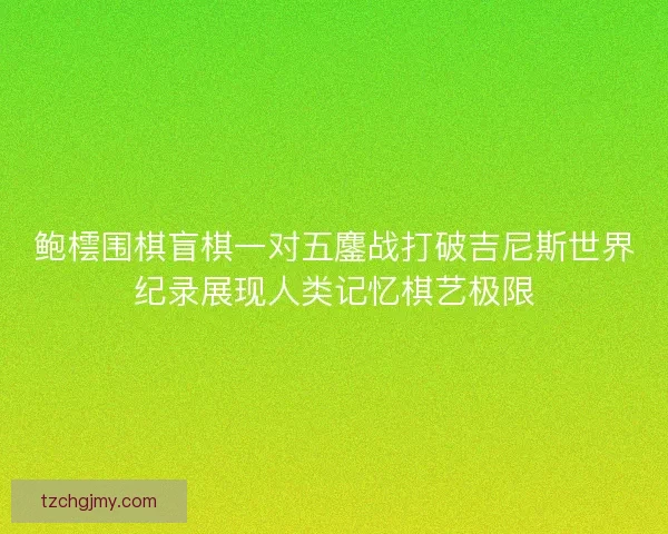鲍橒围棋盲棋一对五鏖战打破吉尼斯世界纪录展现人类记忆棋艺极限